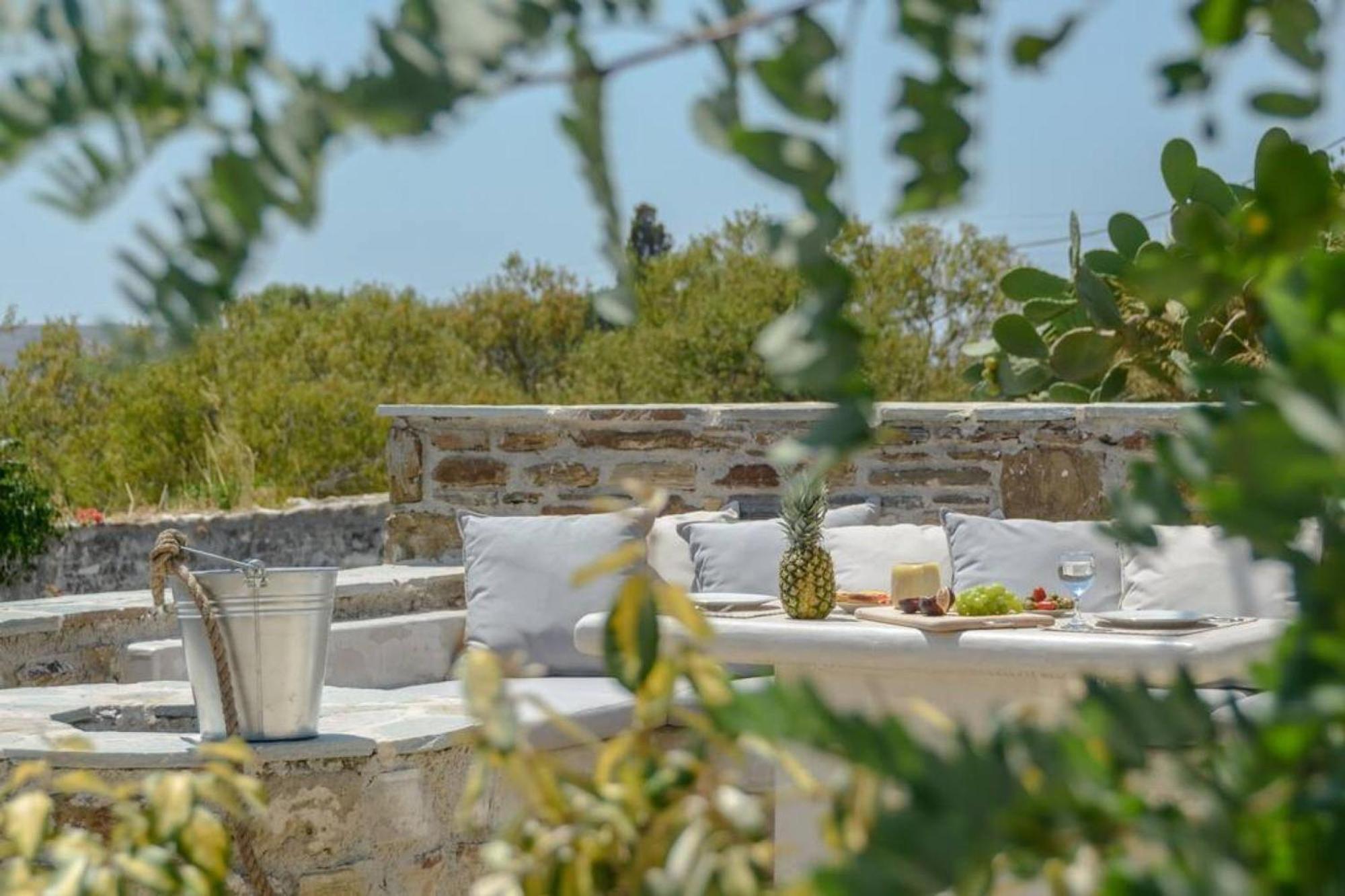 Villa Anthemion Naxos With Outdoor Jacuzzi Ano Sangrion ภายนอก รูปภาพ